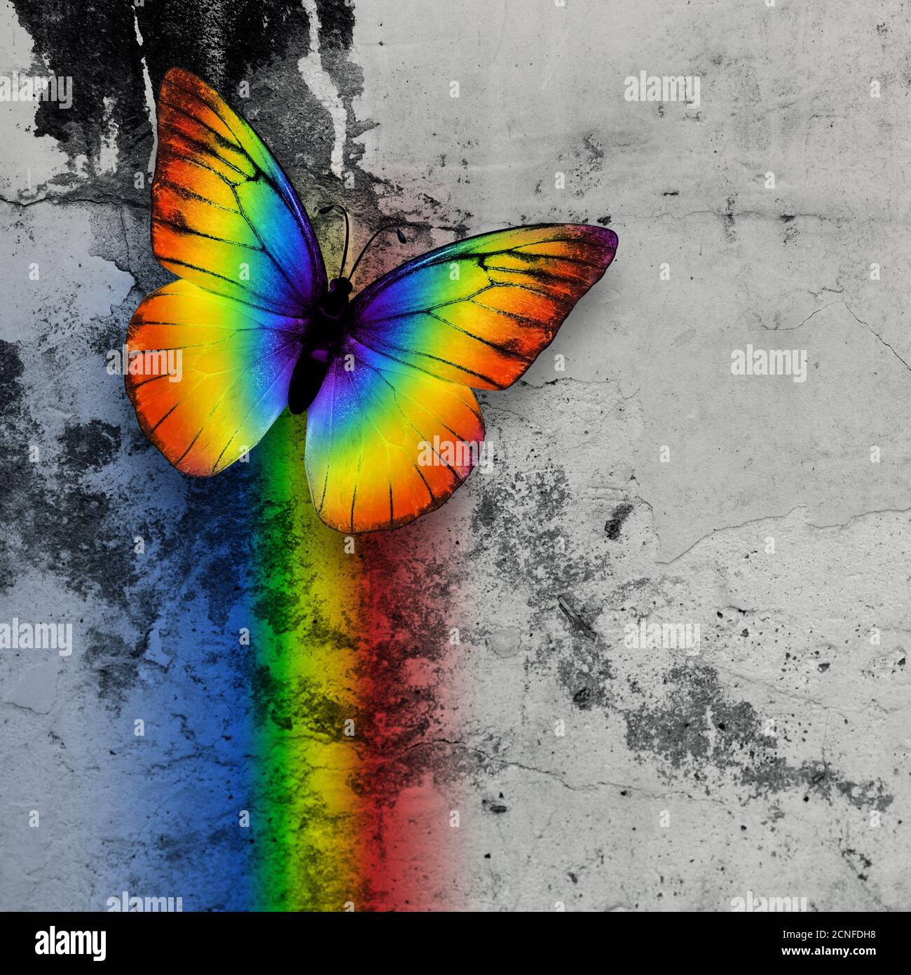 Page 2 Rainbow Butterflies High Resolution Stock Photography And Images Alamy