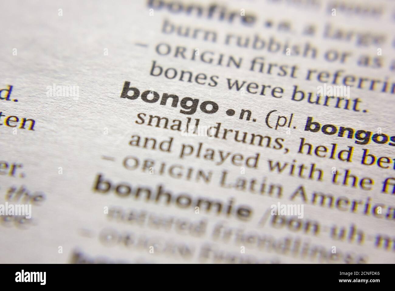 Word or phrase Bongo in a dictionary Stock Photo Alamy