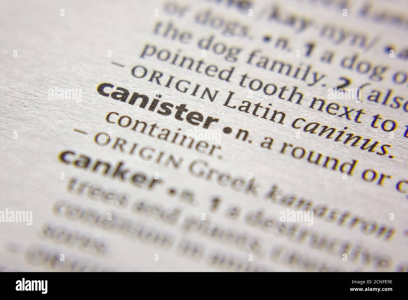 Word or phrase Canister in a dictionary Stock Photo Alamy