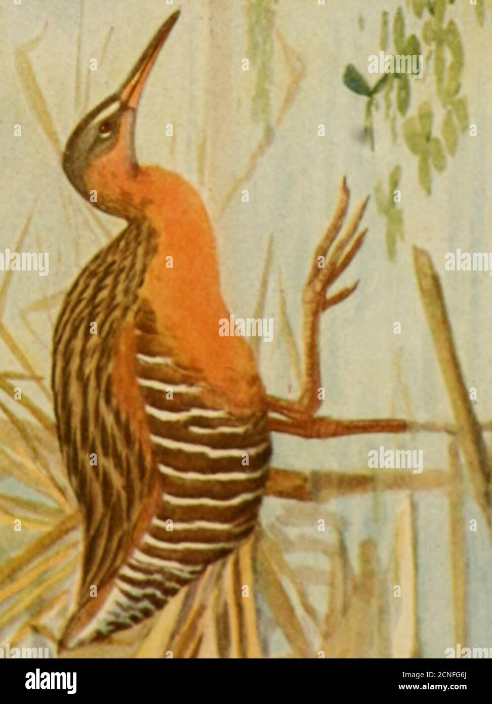 Fi Of Ei Of Fl High Resolution Stock Photography And Images Alamy