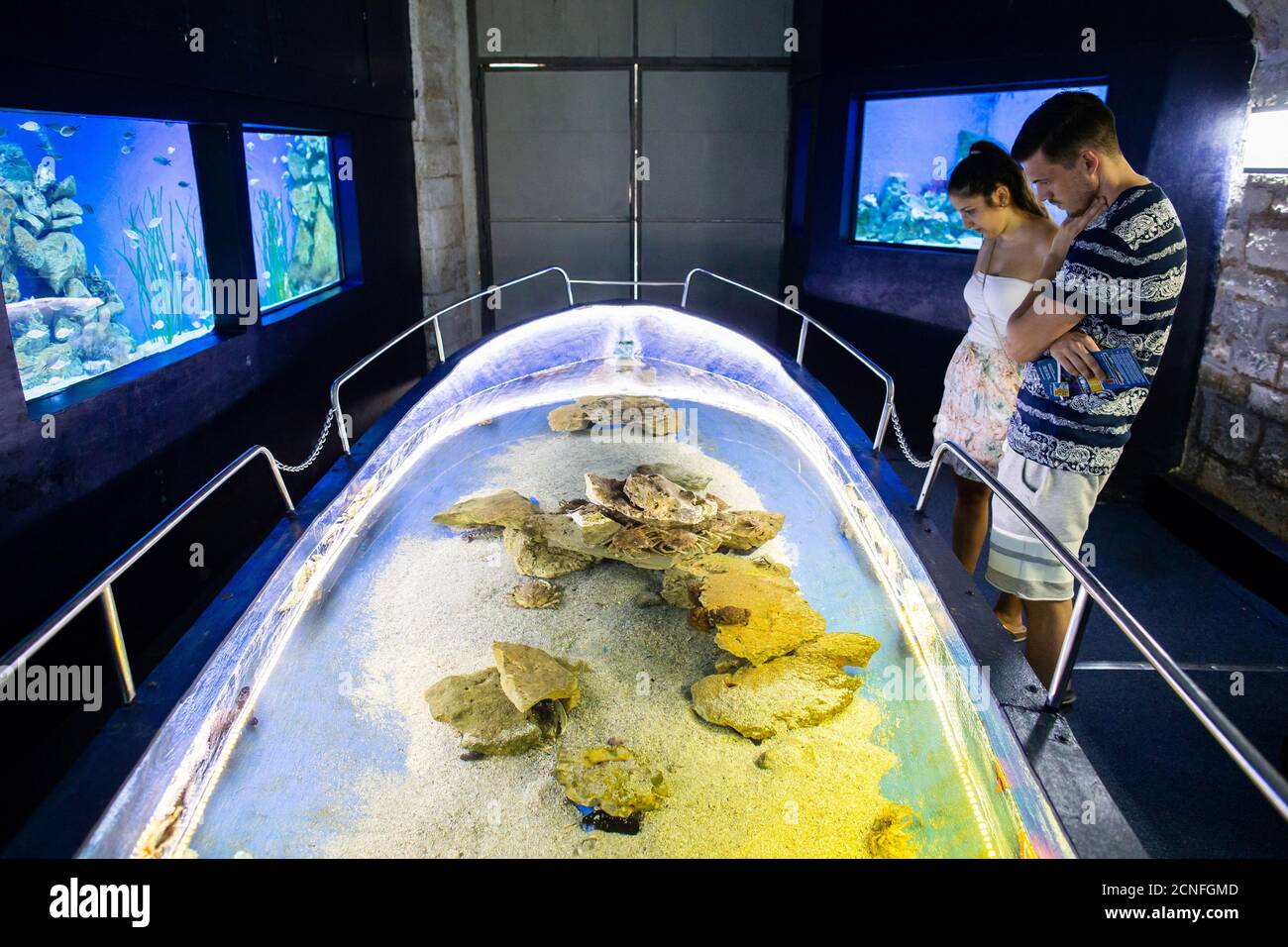 Visitors look at an exhibit at the Aquarium Pula, Croatia, July 26, 2018.  Housed in a more than 130-year-old fort in Croatia, Aquarium Pula boasts  species from the Adriatic as well as