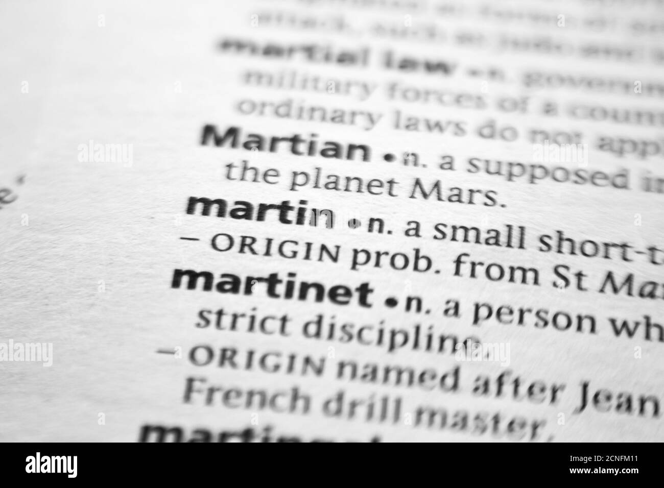Word or phrase Martin in a dictionary Stock Photo - Alamy