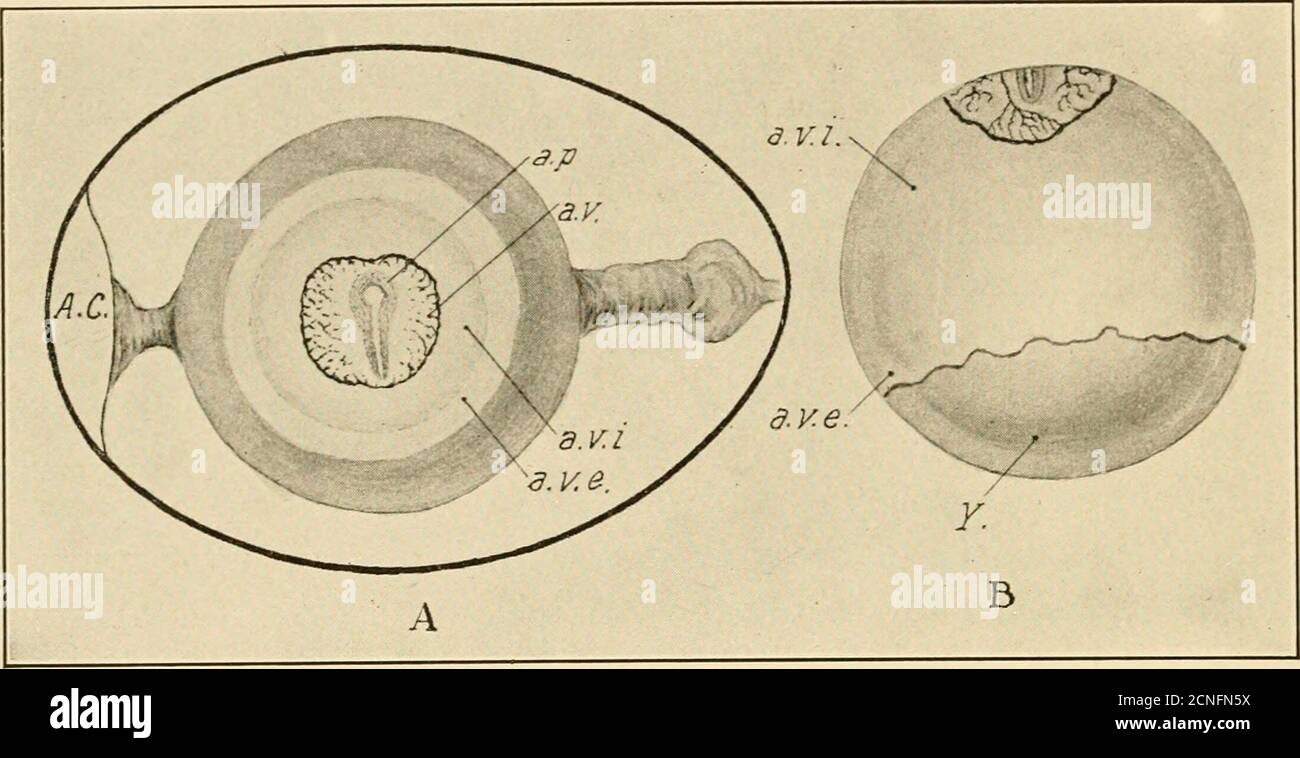 Interdependent Processes Image Interdependent processes hi-res stock photography and images - Alamy