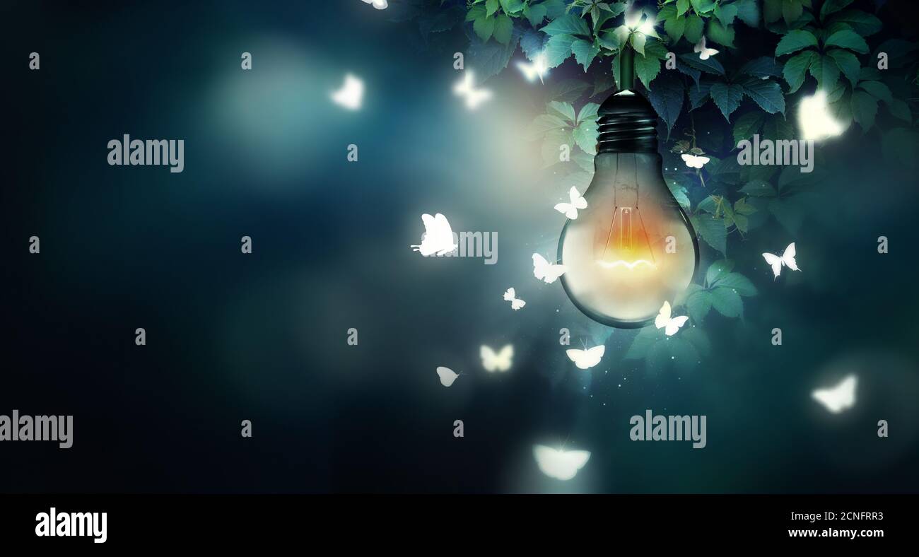 light flying