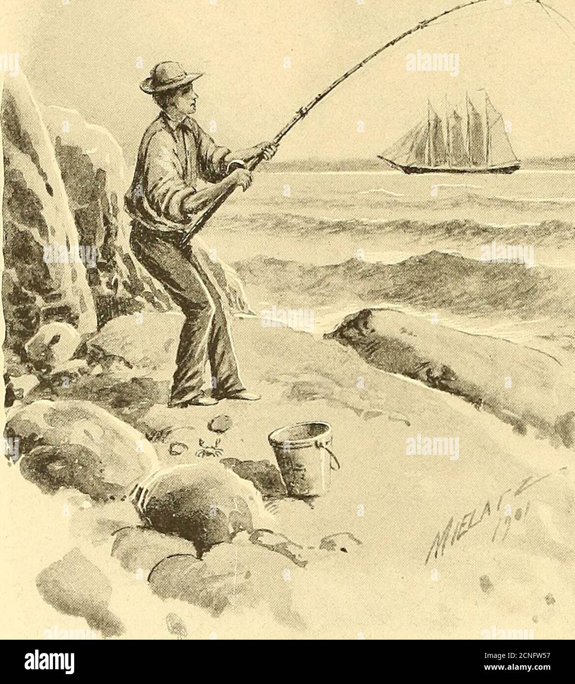 . Annual report of the Forest, Fish and Game Commission of the State of New York . ter during cold weather. As this is alarge species and an excellent food fish, it is a favorite with the amateur fishermenand may be taken with rod and reel. Where the rocks run out suddenly into deepwater the fisherman may stand and cast from the shore. When hooked a large tau-tog is no mean antagonist. He will sometimes wedge himself among the rocks insuch a way that he cannot be induced to come out and the fisherman must awaithis pleasure. Then with a rush he will leave his retreat and run out most of oneslin Stock Photo