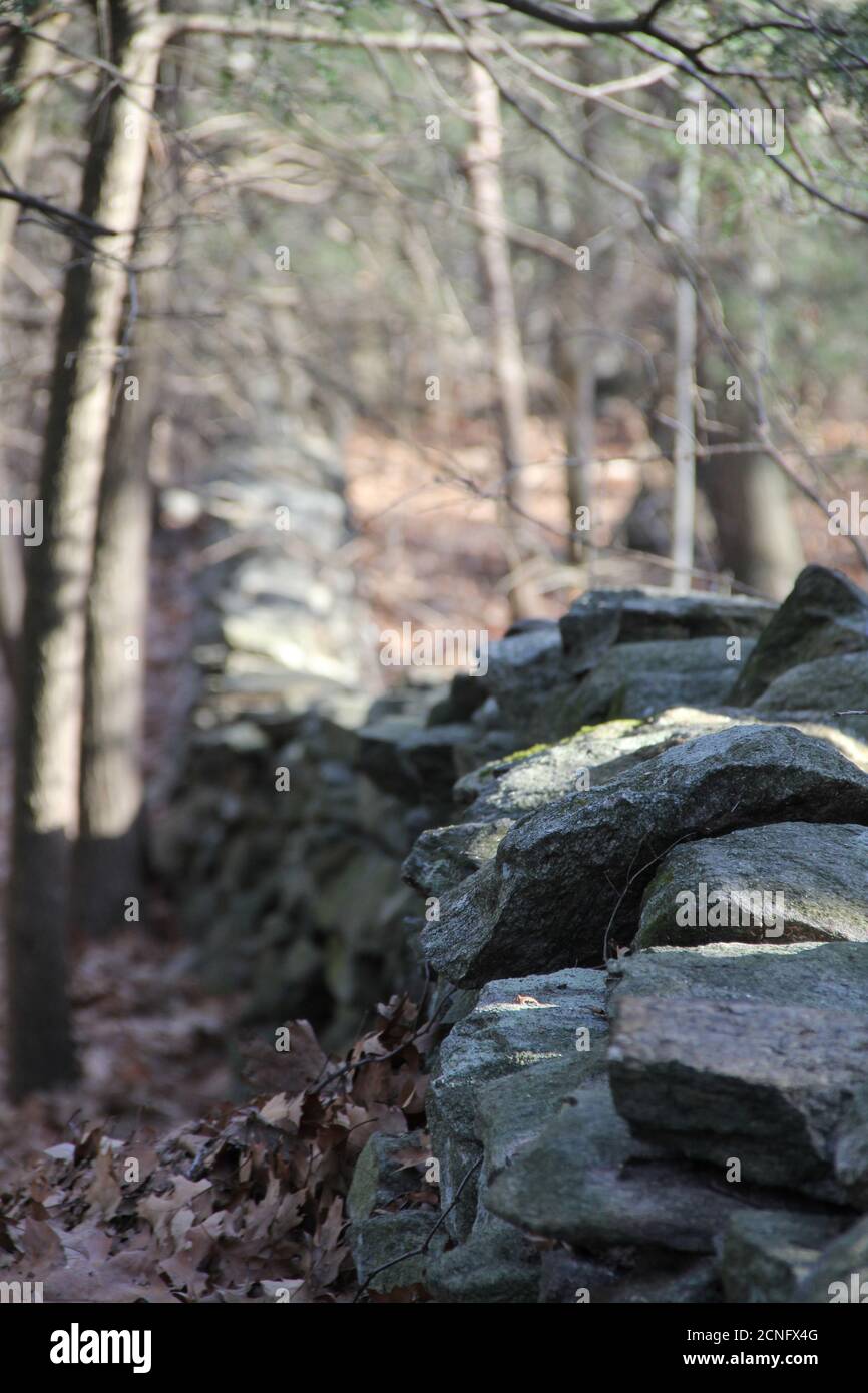 Stone wall new england forest hi-res stock photography and images - Alamy