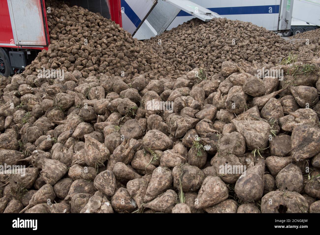Thick molasses hires stock photography and images Alamy