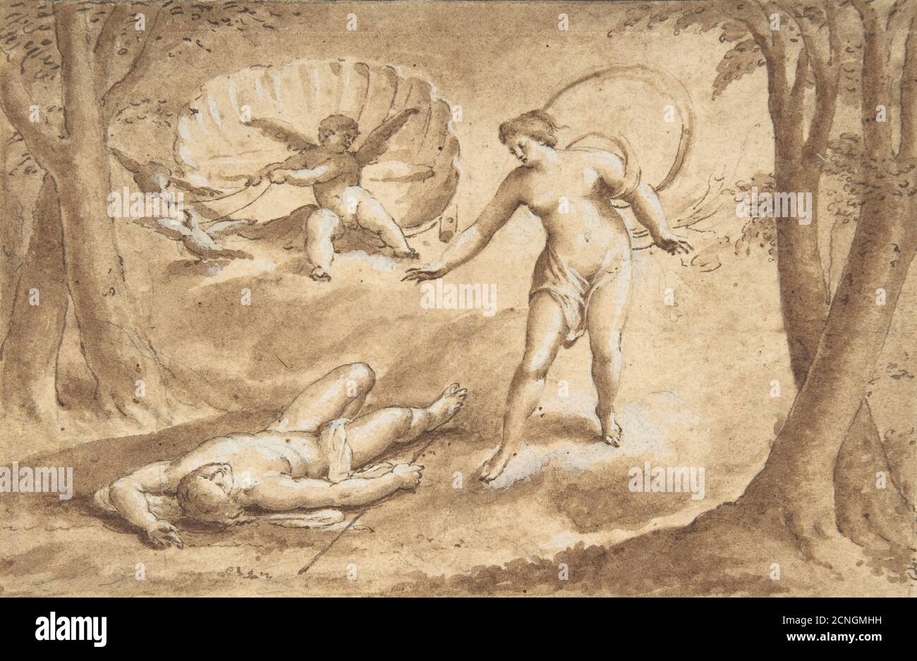 Venus Discovering the Death of Adonis, 17th century. Stock Photo