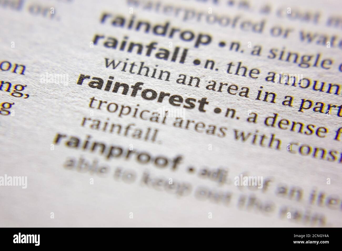 Word or phrase Rainforest in a dictionary Stock Photo Alamy