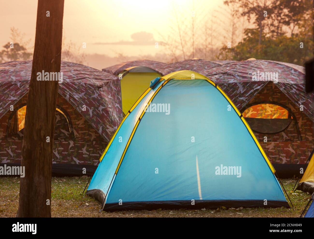 Tent in camping Stock Photo - Alamy