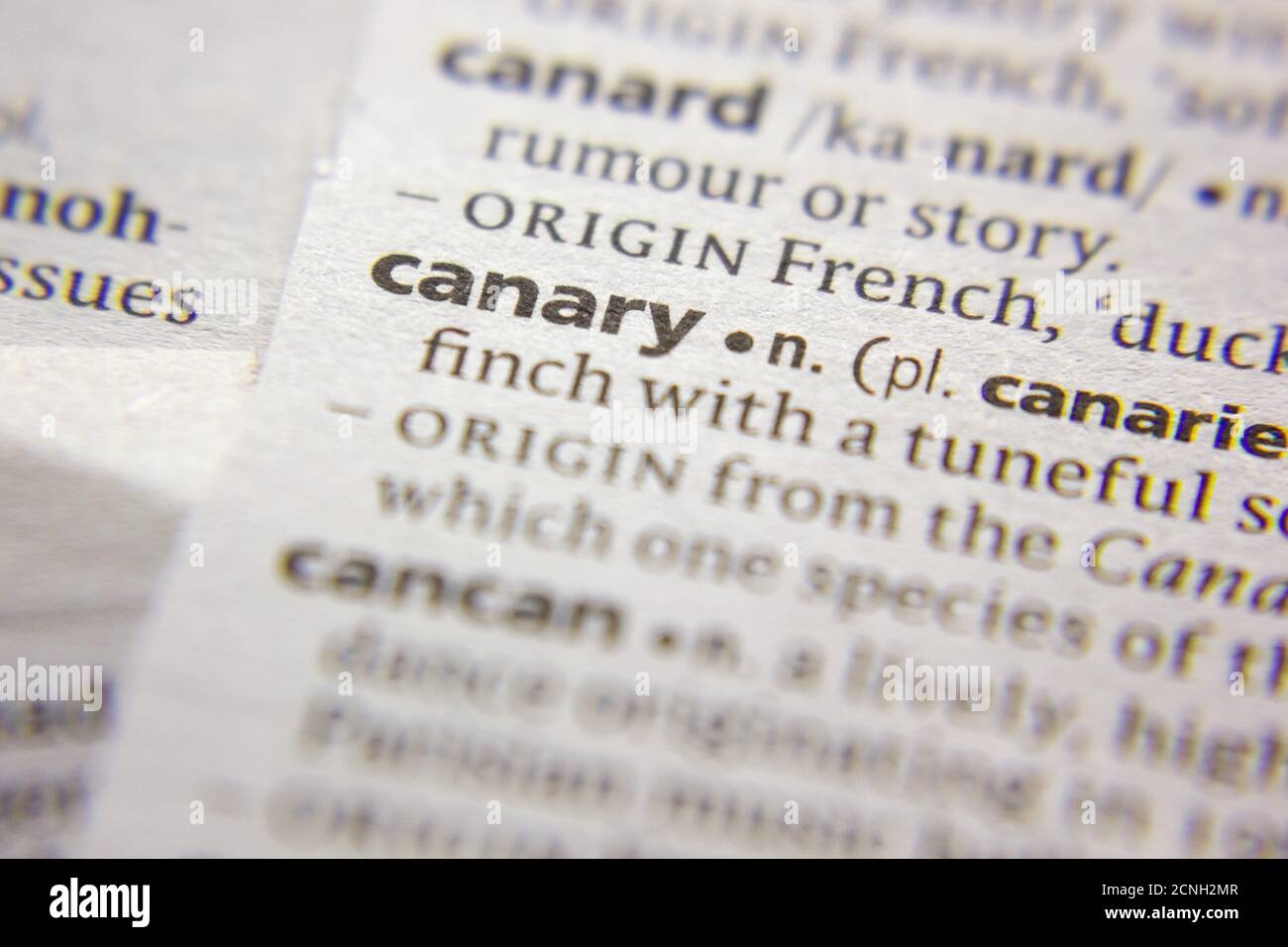 Word or phrase Canary in a dictionary Stock Photo - Alamy