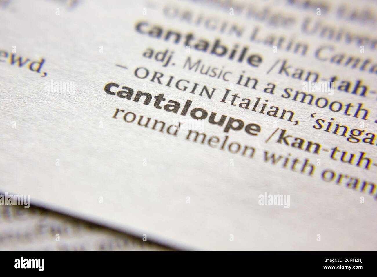 Word or phrase Cantaloupe in a dictionary Stock Photo Alamy
