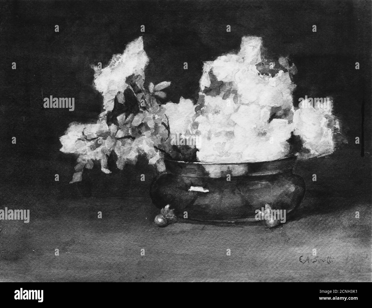 Yellow Roses Stock Photo Alamy