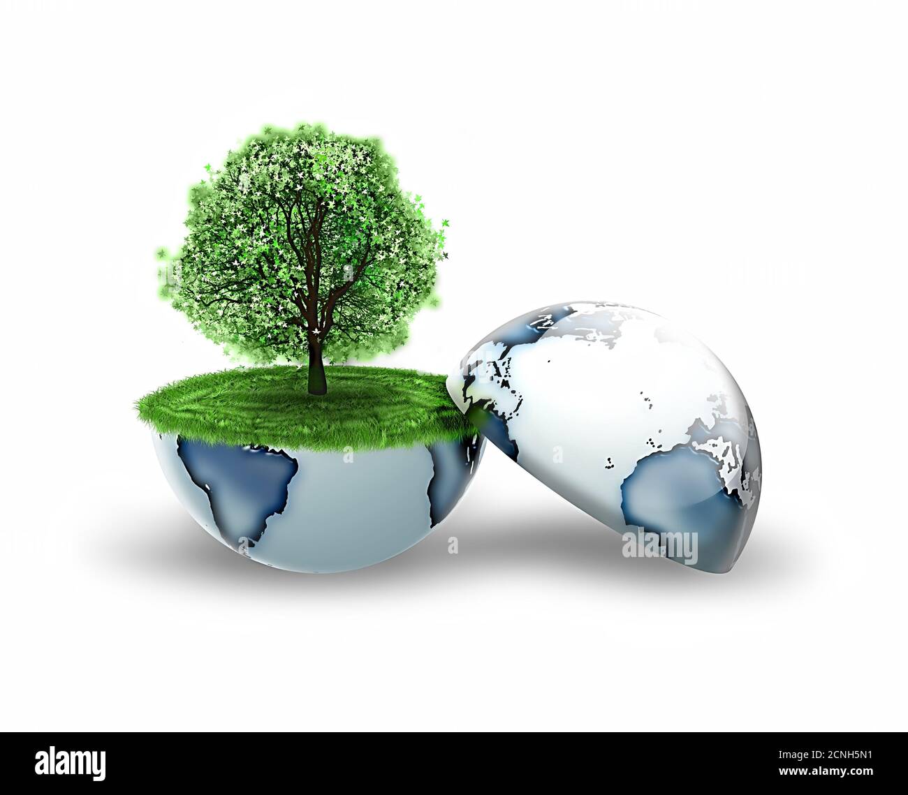 tree inside the earth Stock Photo
