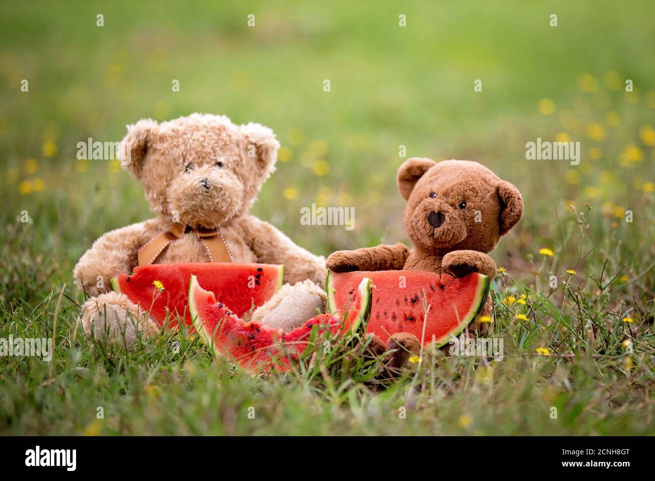 Watermelon store teddy bear