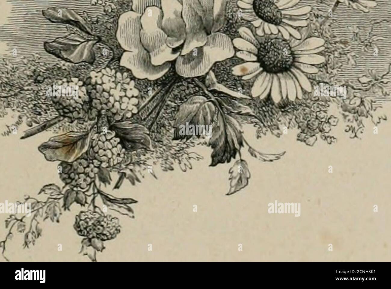 Birds And Flowers Or Lays And Lyrics Of Rural Life Me To Teu Of Sunny Hours Birds And Flowers Or Lays And Lyrics Of Rural Life Me To Teu Of Sunny Hours