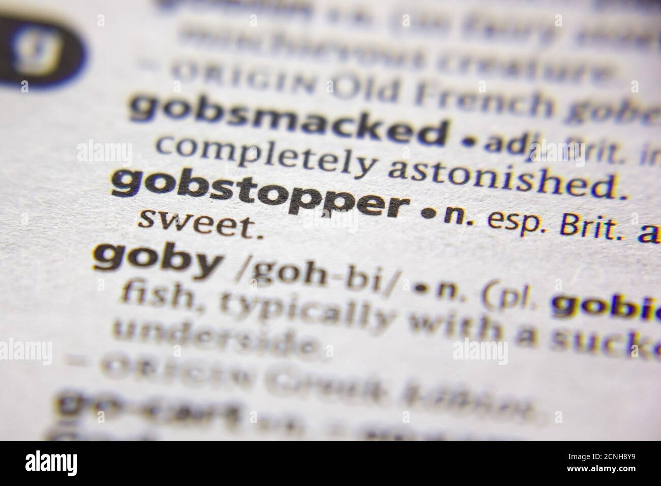 Word or phrase Gobstopper in a dictionary Stock Photo