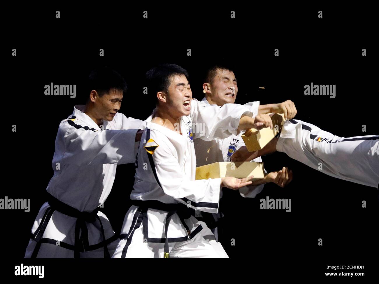 Kukkiwon Black Belt Id Card