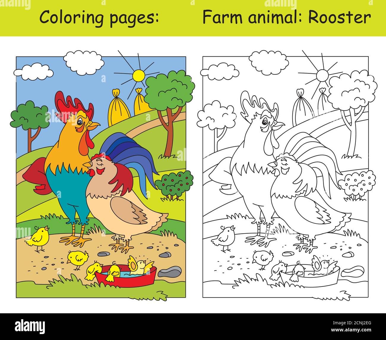 Coloring pages with happy rooster, hen and chickens on the farm meadow. Cartoon vector illustration. Coloring and colored image of rooster. Stock illu Stock Vector