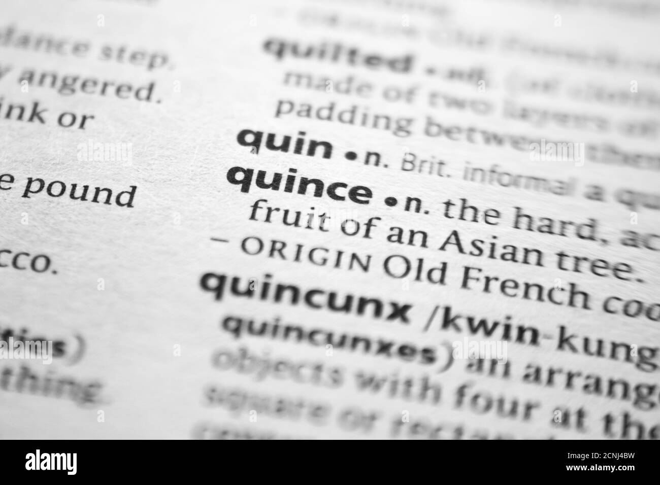 Word or phrase Quince in a dictionary Stock Photo