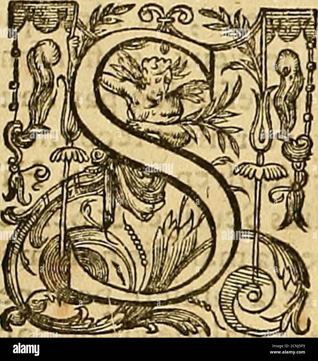 rapportees high resolution stock photography and images alamy