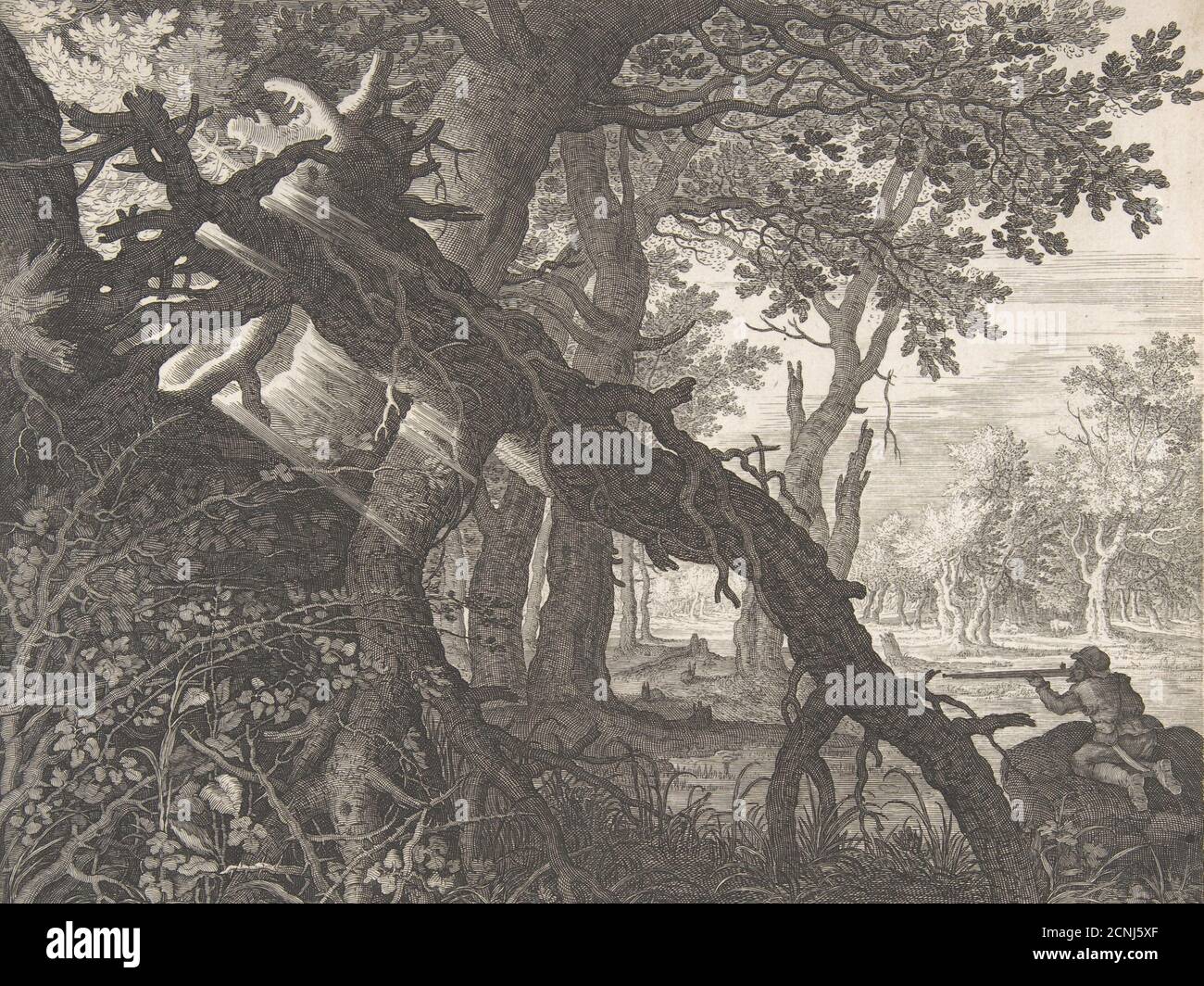 Olden Days Rabbit Catching Rabbit hunt century hi-res stock photography and images - Alamy