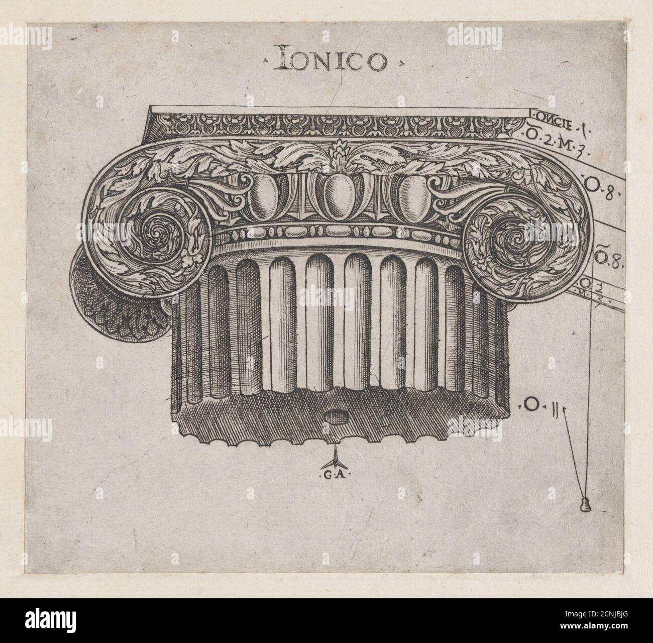 Speculum Romanae Magnificentiae Ionic capital, ca. 1537 Stock Photo Alamy