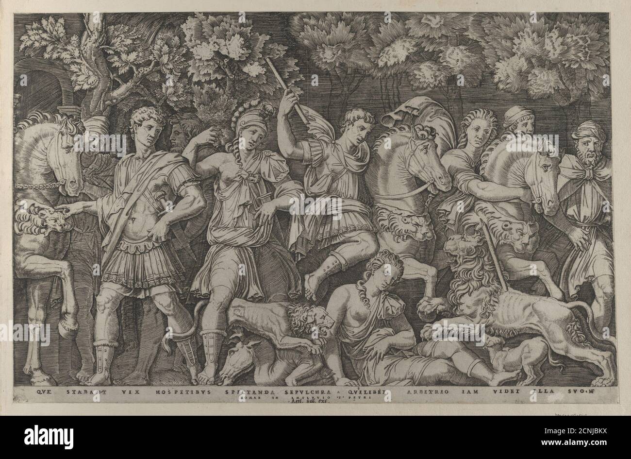 Speculum Romanae Magnificentiae The Lion Hunt, ca. 15001534 Stock Photo Alamy