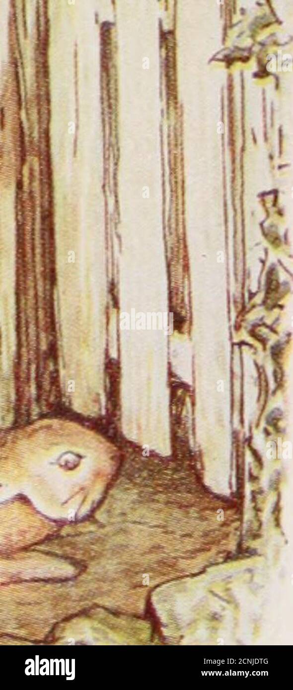 Scrou . Histoire de Pierre Lapin . 68 TL revient sur ses pas autravers des ...