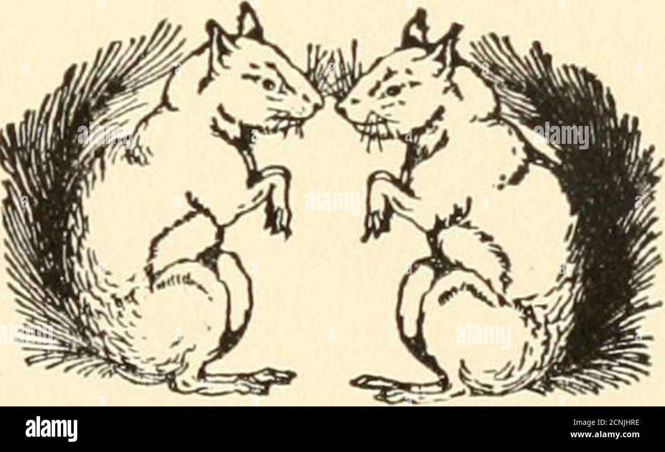 Lets Go Home High Resolution Stock Photography And Images Alamy