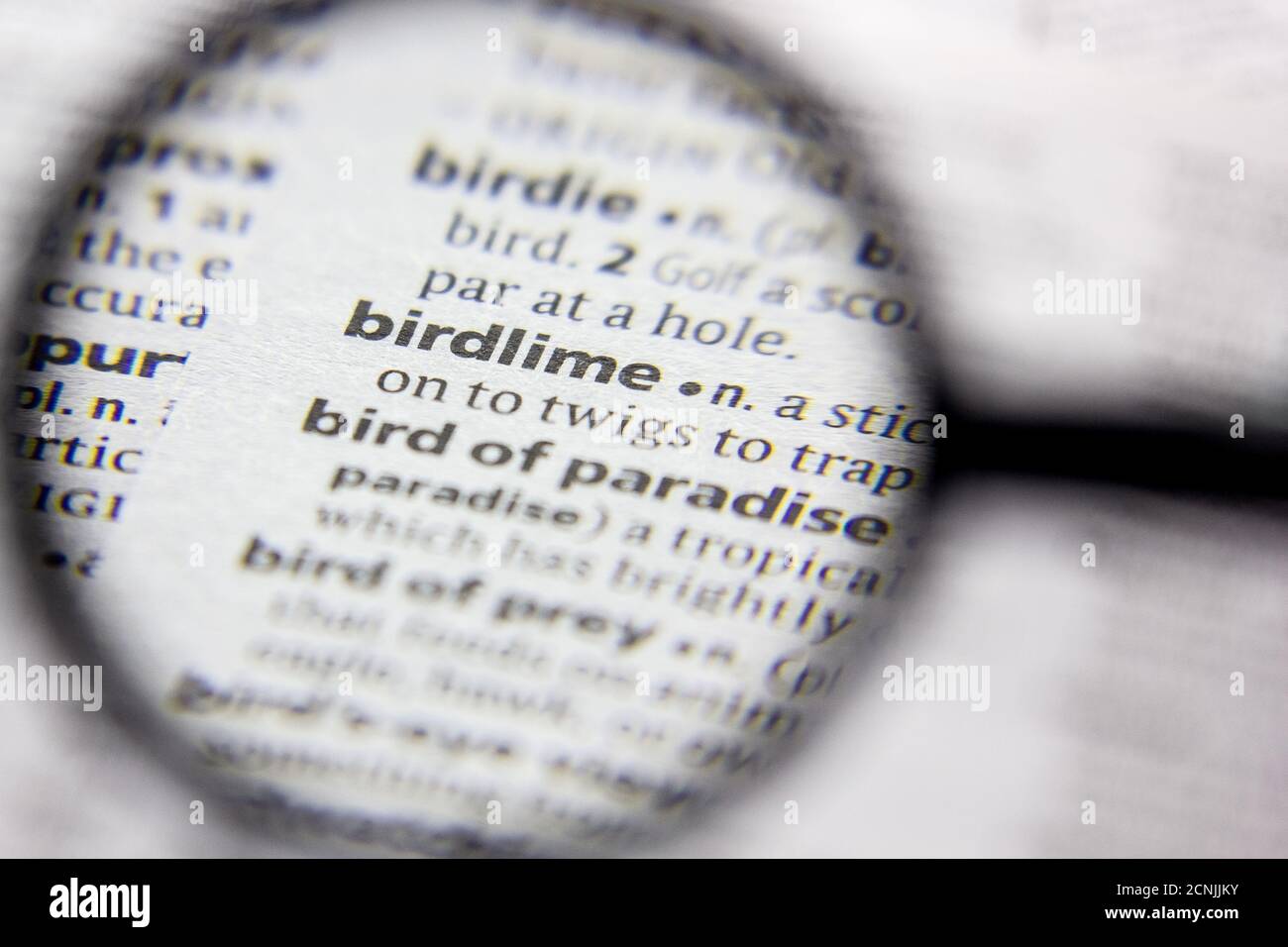 Word or phrase Birdlime in a dictionary Stock Photo