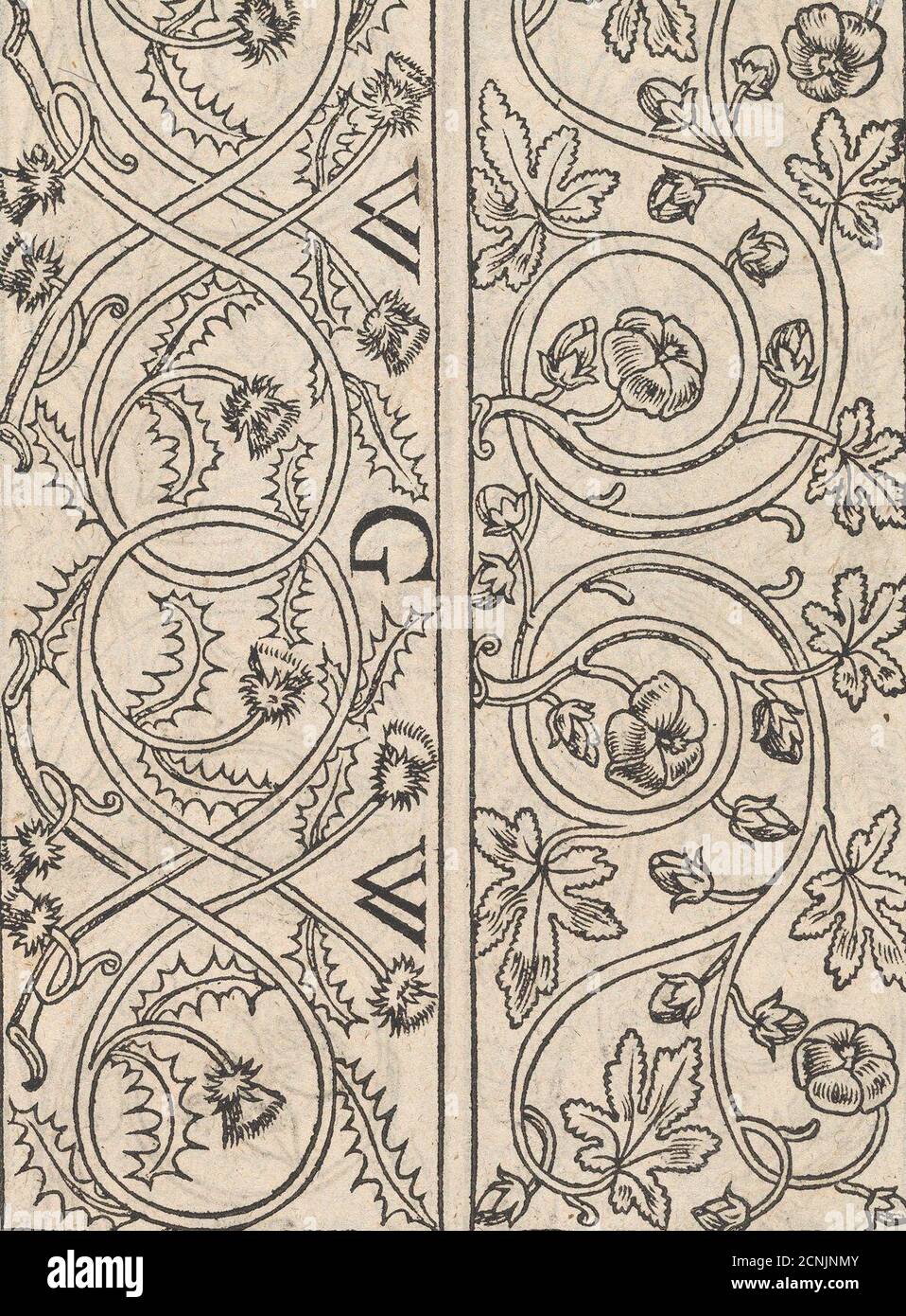 Page from Ein new kunstlich Modelbuch...(Page 17r), 1544. Stock Photo