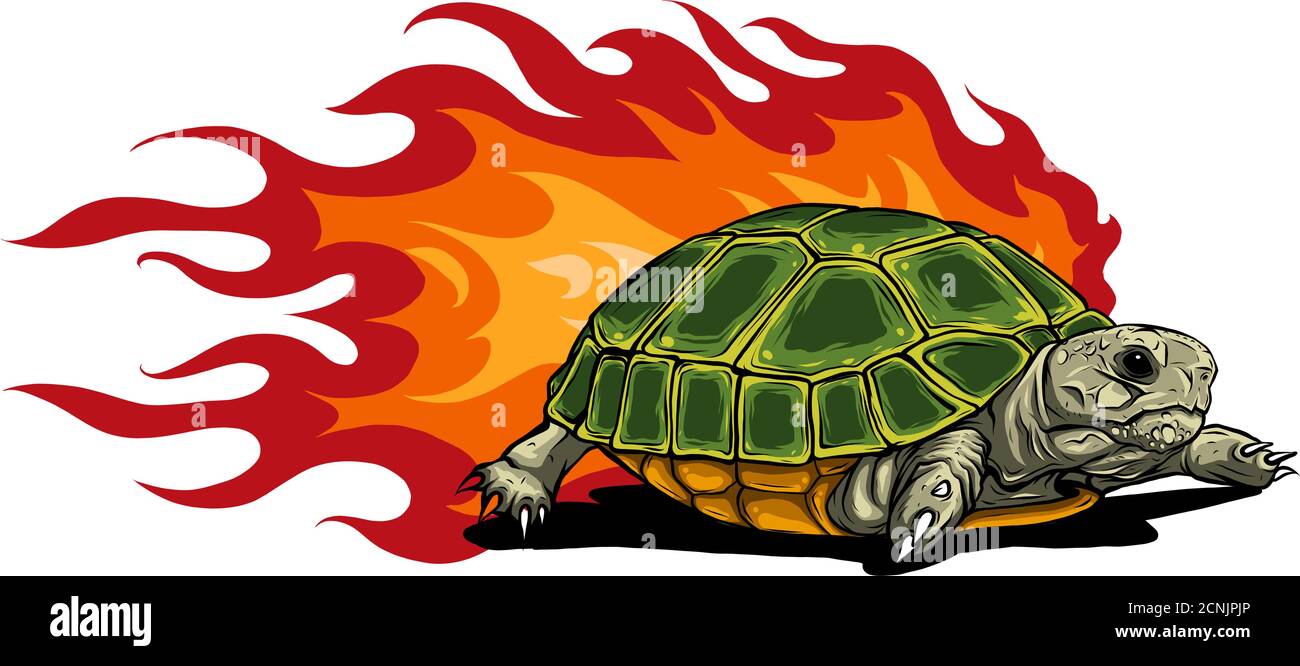 turtle isolated on white background vector illustration Stock Vector