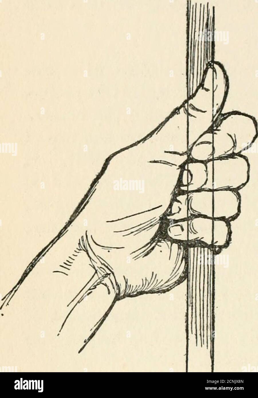 . Drawing for beginners . he object the fingers areclasping, with the ...