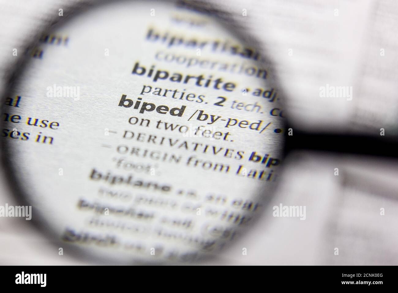 Word or phrase Biped in a dictionary Stock Photo - Alamy