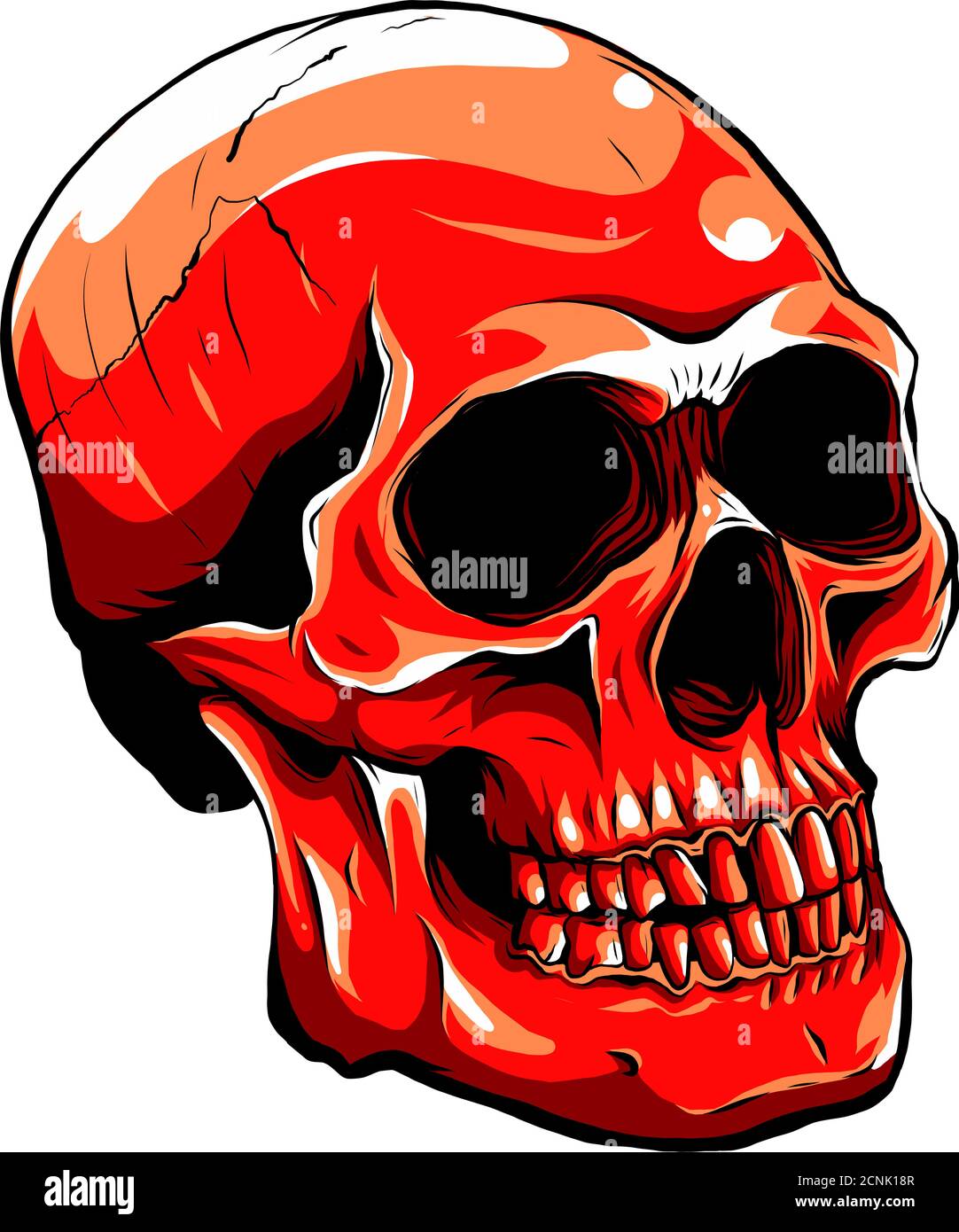 Realistic red skull. vector Illustration for designer on a white background. Stock Vector