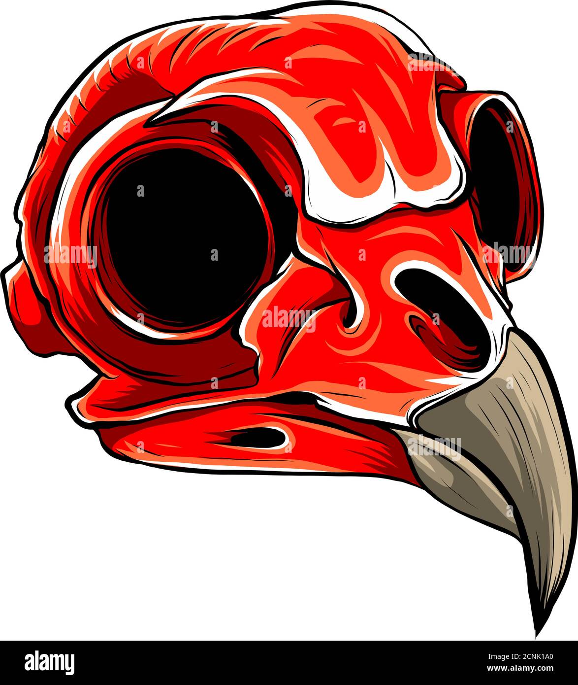 Realistic red bird skull. vector Illustration for designer on a white background. Stock Vector