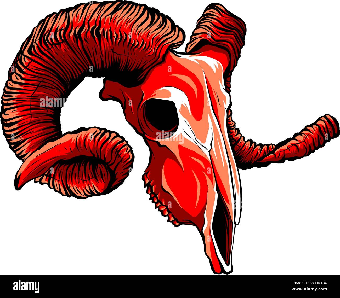 Realistic red goat skull. vector Illustration for designer on a white background. Stock Vector
