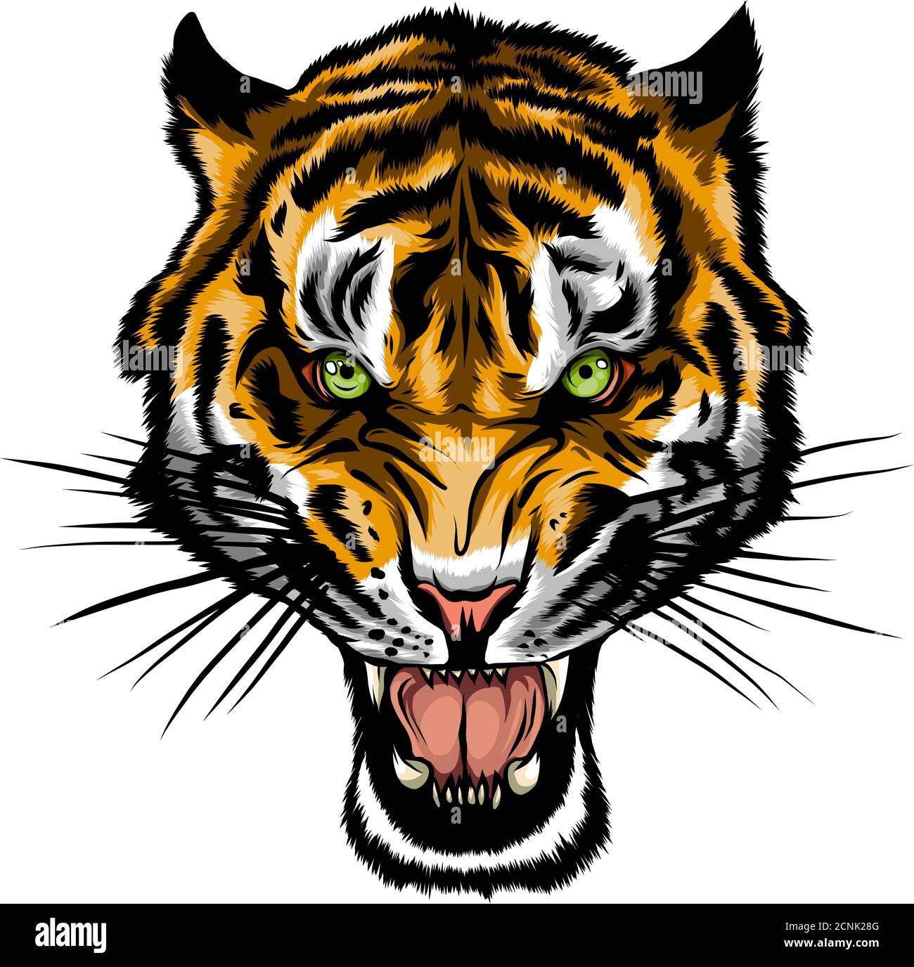 Tiger mouth Stock Vector Images - Alamy