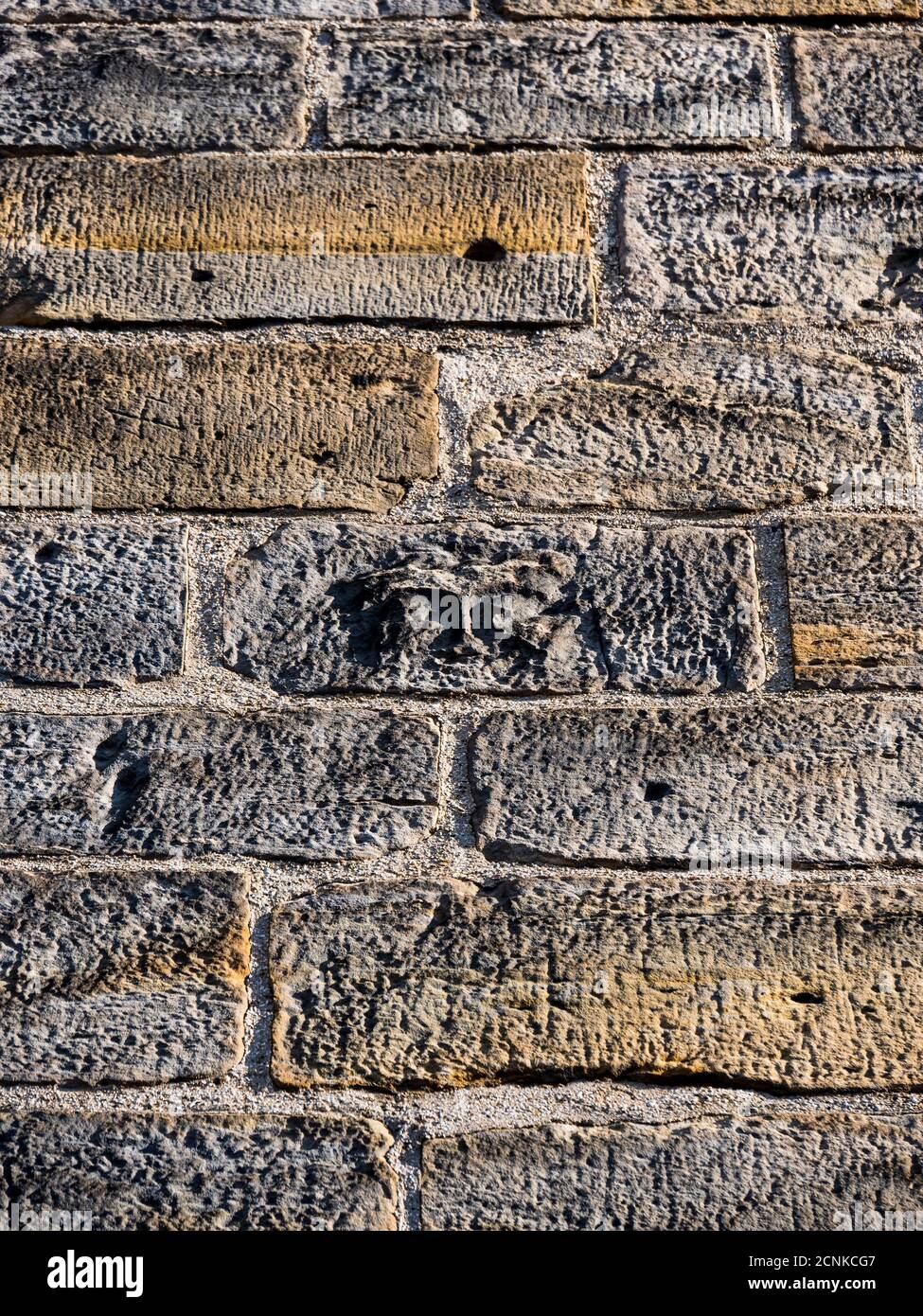 Face of Patrick Hamilton, the Martyr, Burnt at The Stake, St Salvator's