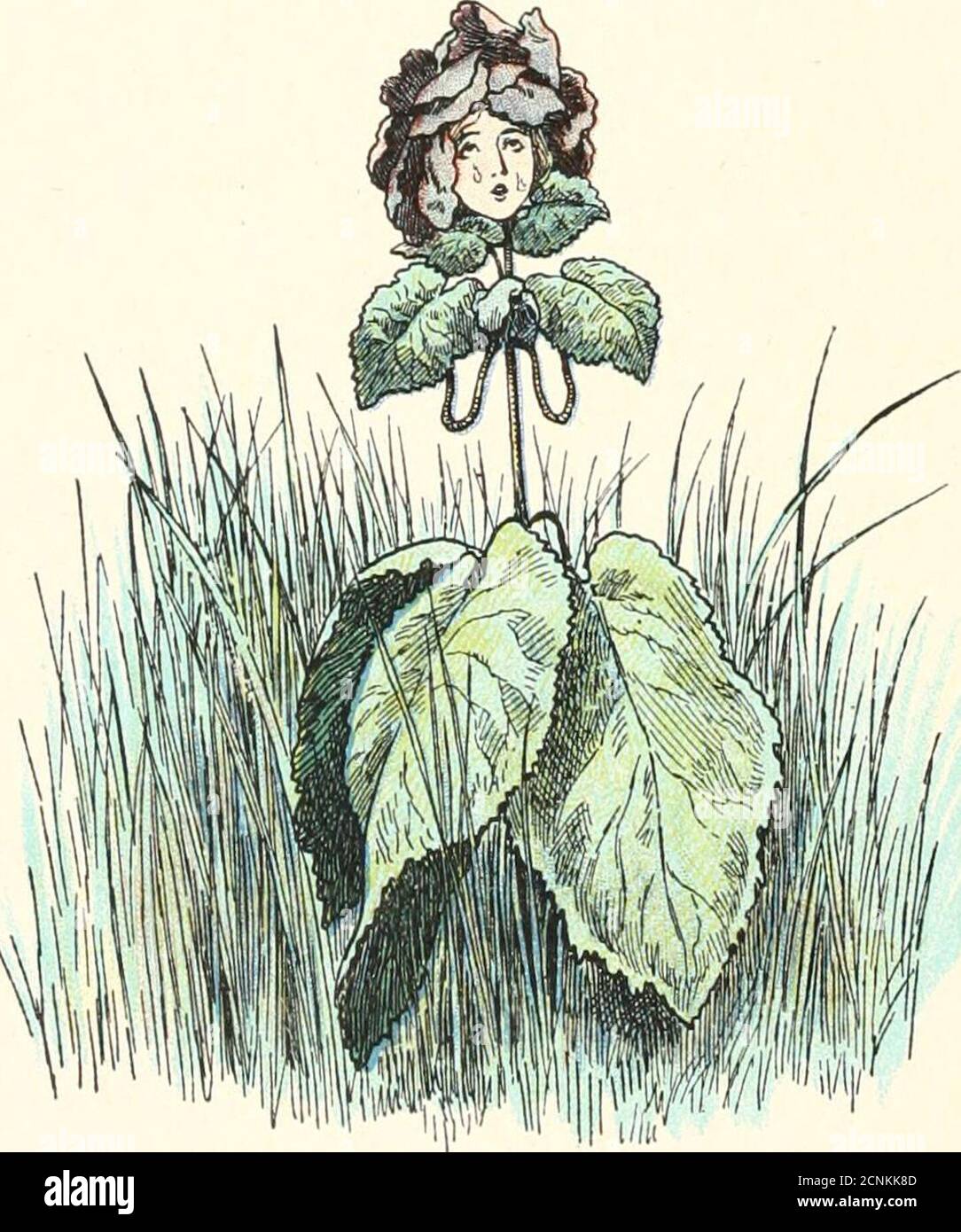 Jolie petite fée hi-res stock photography and images - Alamy