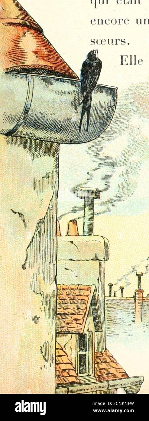 A B C A L Irondelle Tout Le Monde Sait Jiie Les Hirondelles Sen Vontlhiver Dans Les Pays Chauds Et Ne Reviennent Quauprintemps C Pour Faire Ce Long Voyag E Les