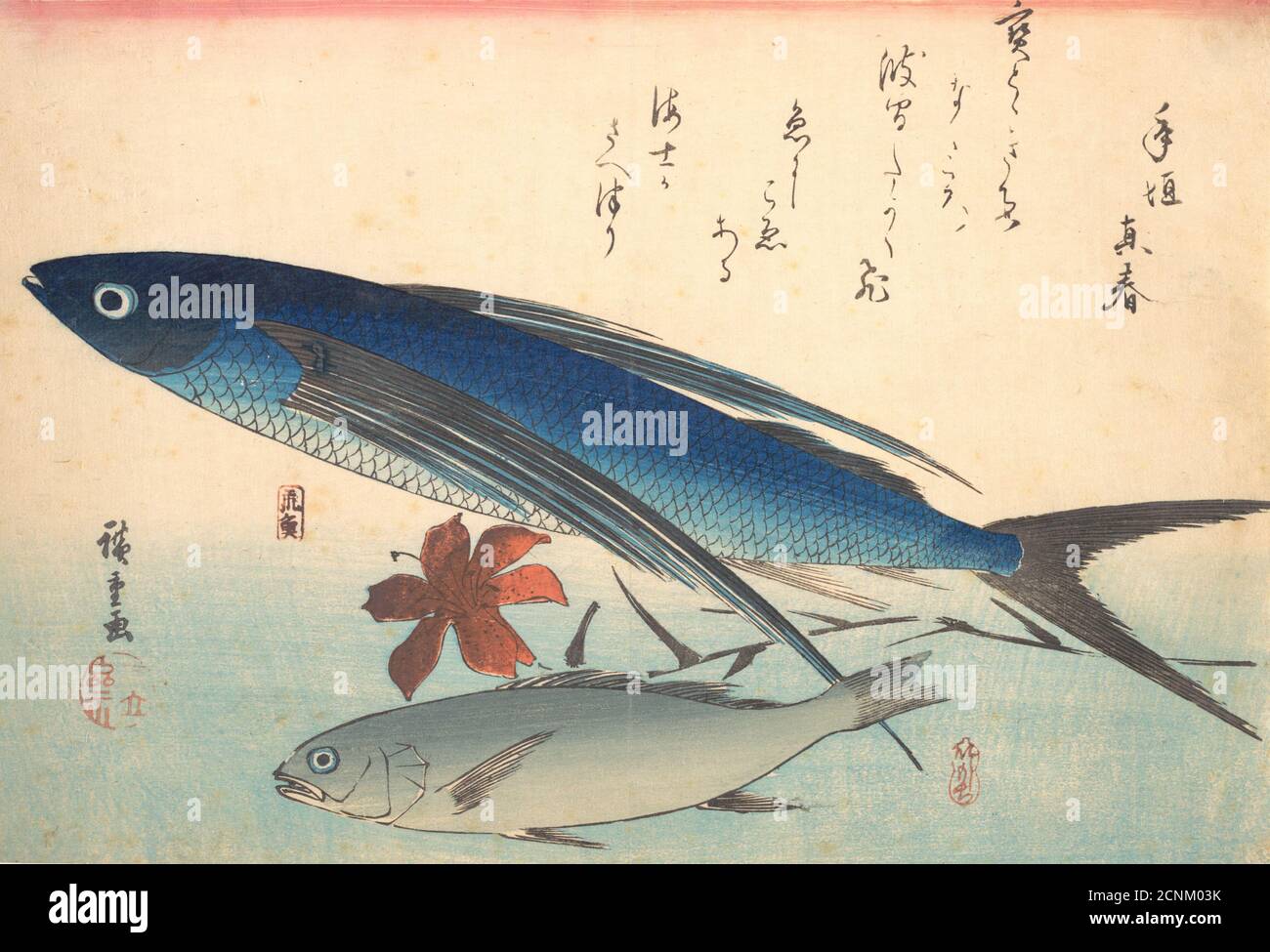Ishimochi fish hi-res stock photography and images - Alamy