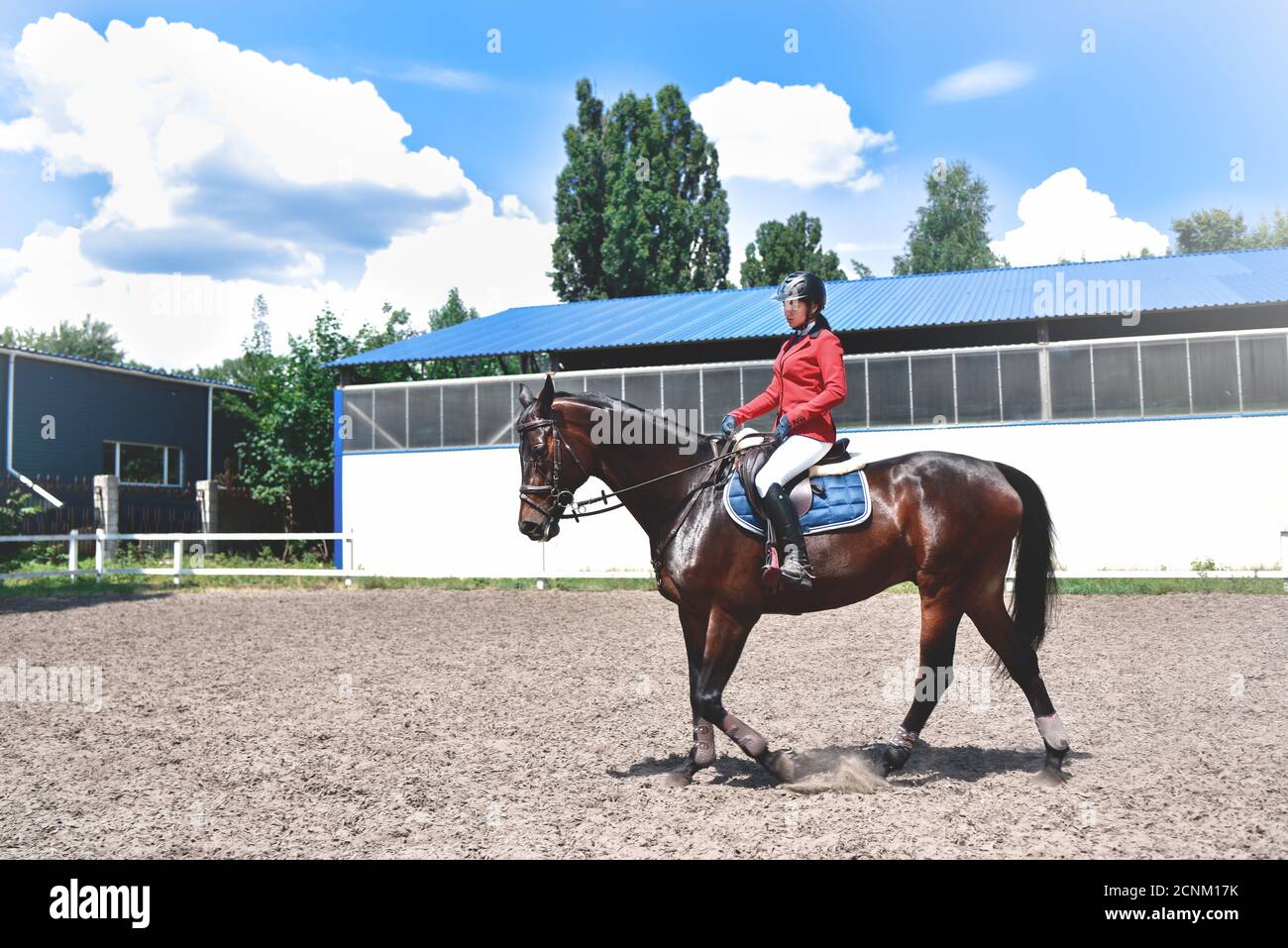 Young pretty jockey girl preparing horse for ride. love horses. girl