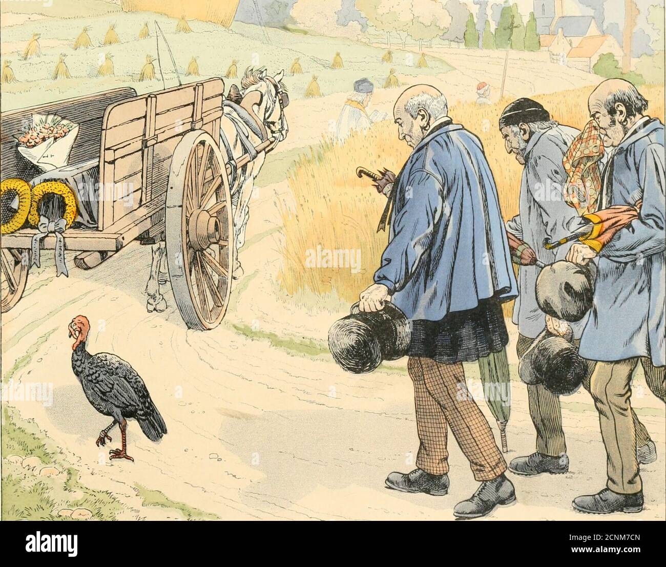 Page 4 - Brochet High Resolution Stock Photography and Images - Alamy