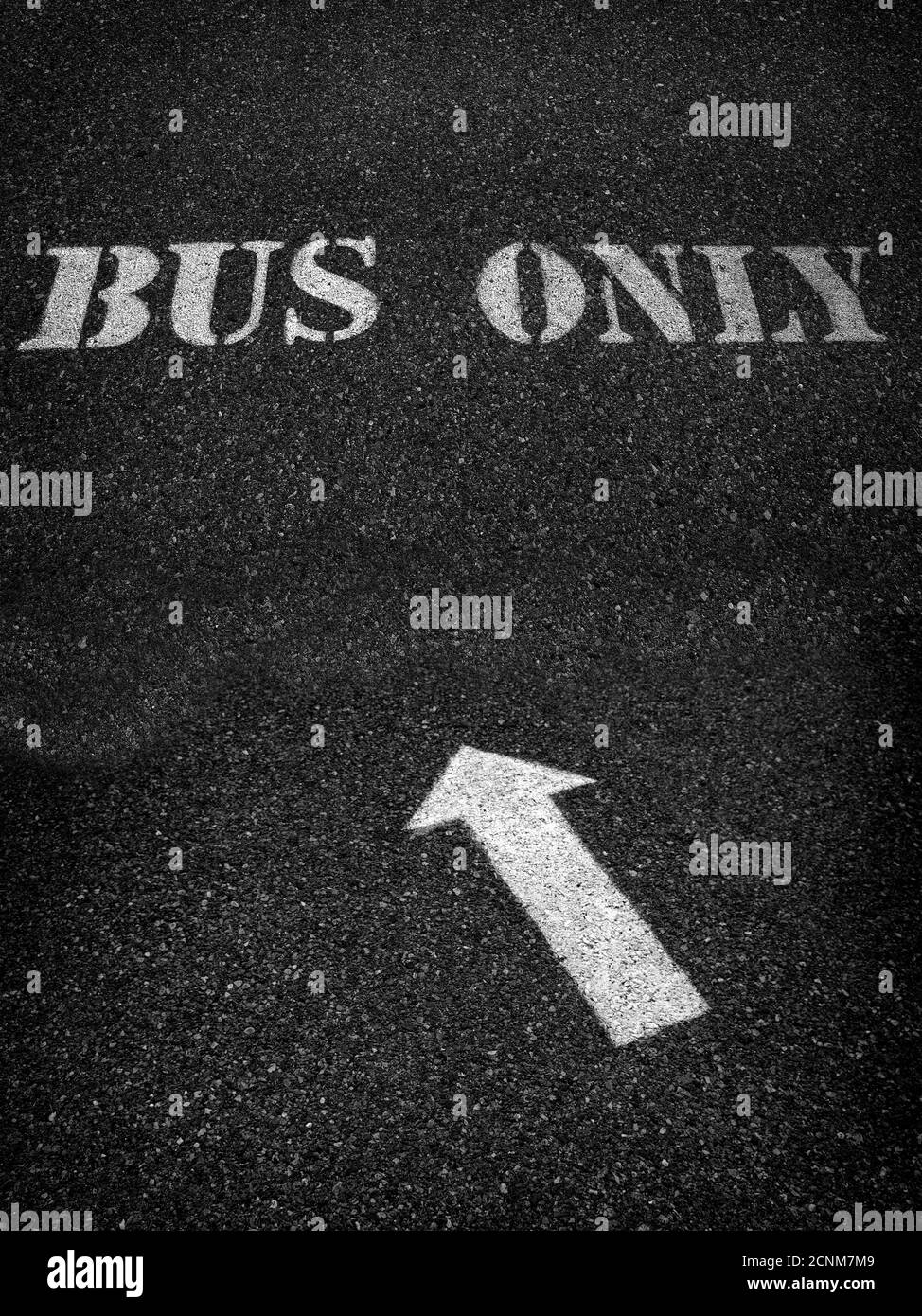 Bus only sign painted white on roadway asphalt for direction Stock Photo