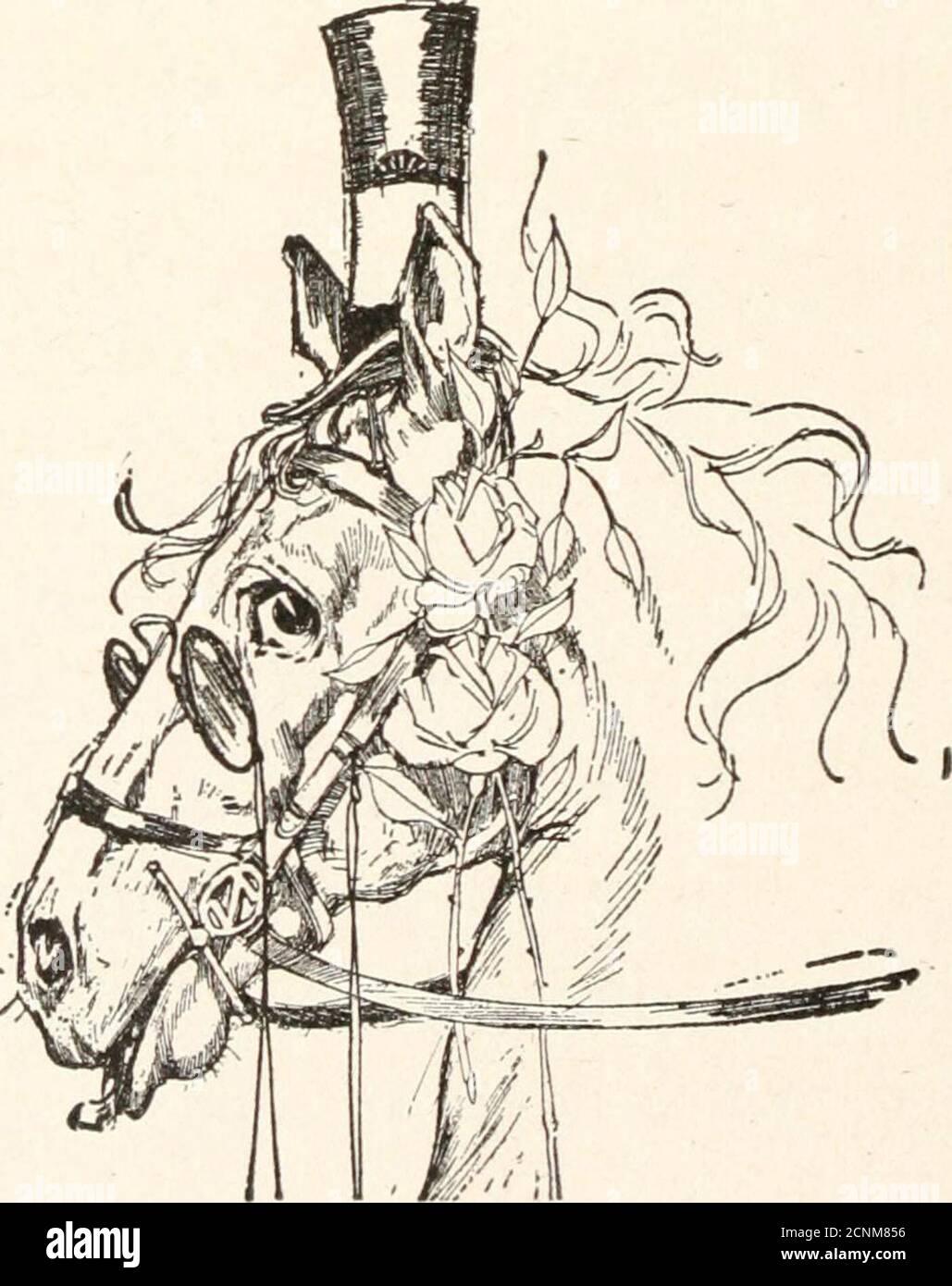Dorothy and the wizard in Oz . he exclaimed. I thought you werestuffed. So  I am., replied the head. But once on a time I waspart of the Gump, which  Ozma