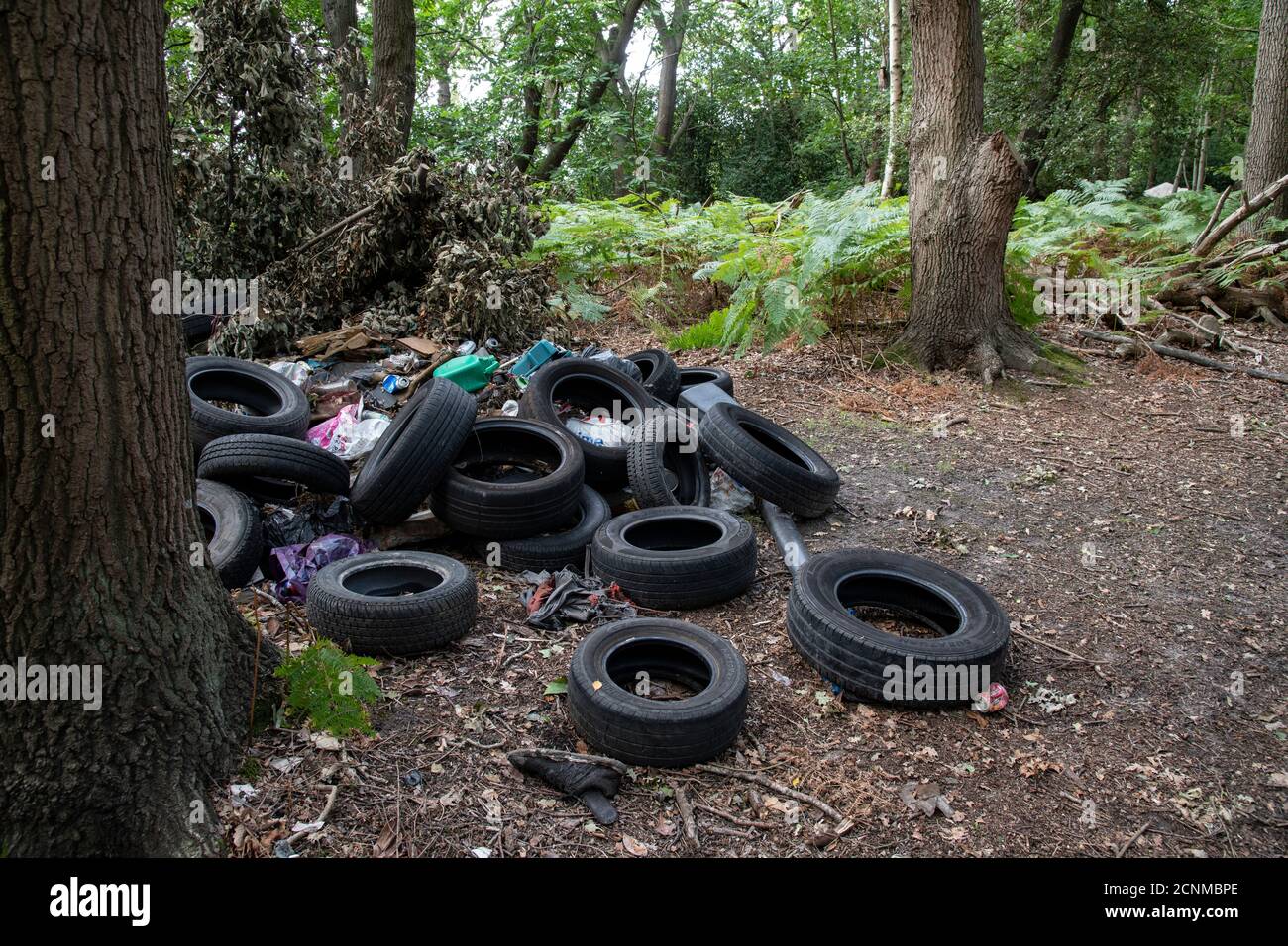 Illegal Fly Tipping in Nature Reserve, Surrey, UK. Stock Photo