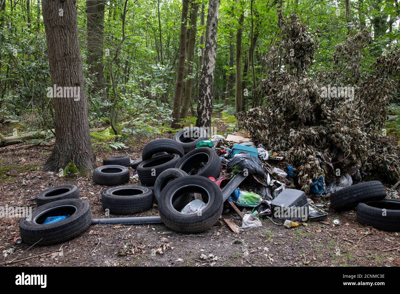 Illegal Fly Tipping in Nature Reserve, Surrey, UK. Stock Photo