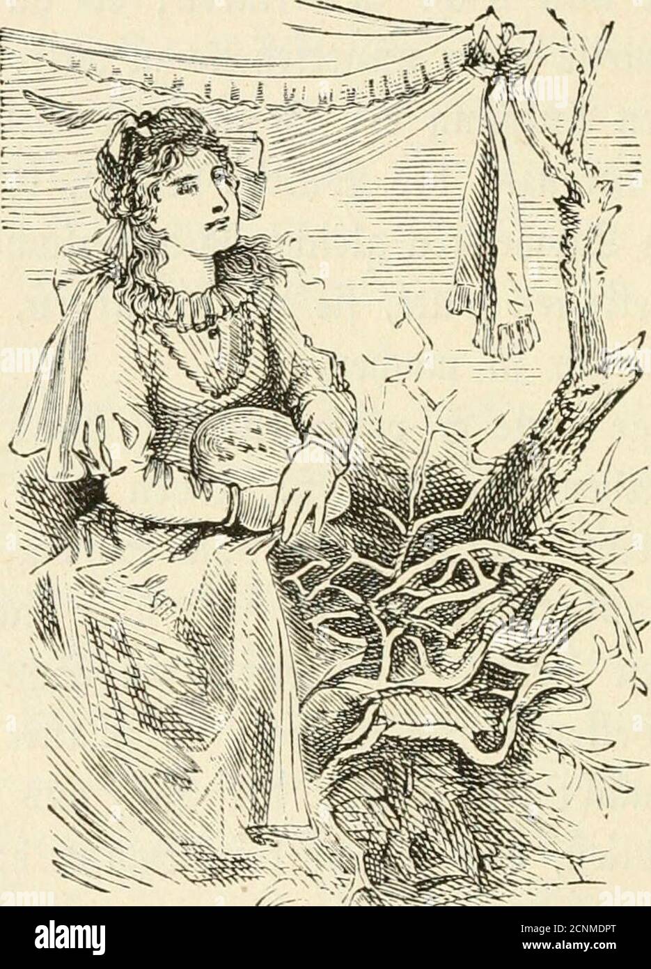 . Deutsche Vol . ften Qlefte »iel. 5u l)c^, fie 3U erfaffen. Stibem er begierig auf Witidfann, feinen 3^uec! ju erreicf)en, fiel eine feibene ©tricfleiterI)eral burd) beren 33eil)ilfe er balb big in ben ©i^^fel beö^aumeö gu bem 5(blernefte gelangte; eö tt^ar fc geräumigunb fc feft gebaut, luie ein 5(ltan auf einer Sinbe. (5rfanb feine (Sc^trefler unter einem 3;l)ronI}immcl ft^enb^Den aufeen gegen bie 51>itterung mit ^C^ai^ötaffet befleibet, in=tüenbig mit rcfenfarbenem 5Ula§ auögefd)lagen, auf il)remD(^en »emninfc^t, atlefielen Söoi^en war eine i^cn ber 33e3auBerung frei; inbiefer S^üifc^e Stock Photo